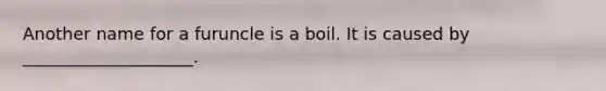 Another name for a furuncle is a boil. It is caused by ____________________.