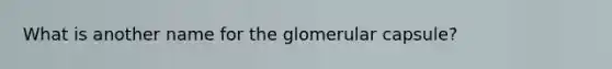 What is another name for the glomerular capsule?