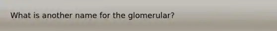 What is another name for the glomerular?