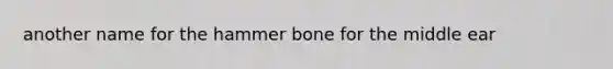 another name for the hammer bone for the middle ear