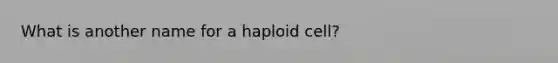 What is another name for a haploid cell?