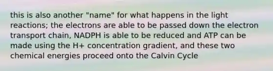 this is also another "name" for what happens in the light reactions; the electrons are able to be passed down the electron transport chain, NADPH is able to be reduced and ATP can be made using the H+ concentration gradient, and these two chemical energies proceed onto the Calvin Cycle