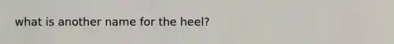 what is another name for the heel?