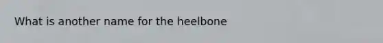 What is another name for the heelbone