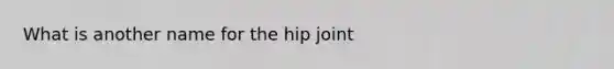 What is another name for the hip joint