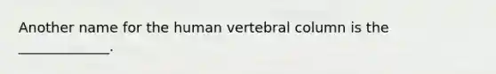 Another name for the human vertebral column is the _____________.