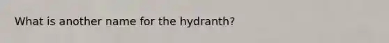 What is another name for the hydranth?