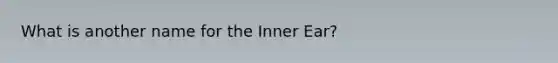 What is another name for the Inner Ear?