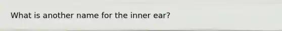 What is another name for the inner ear?