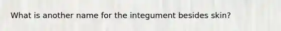 What is another name for the integument besides skin?