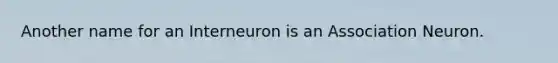 Another name for an Interneuron is an Association Neuron.