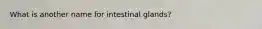 What is another name for intestinal glands?