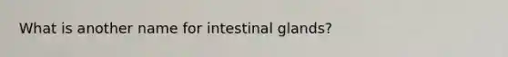 What is another name for intestinal glands?