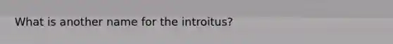 What is another name for the introitus?