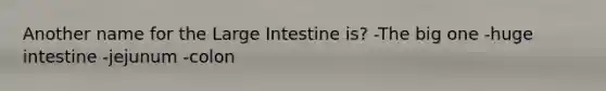 Another name for the Large Intestine is? -The big one -huge intestine -jejunum -colon