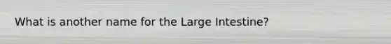 What is another name for the <a href='https://www.questionai.com/knowledge/kGQjby07OK-large-intestine' class='anchor-knowledge'>large intestine</a>?