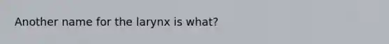 Another name for the larynx is what?