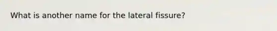 What is another name for the lateral fissure?