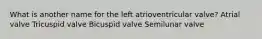 What is another name for the left atrioventricular valve? Atrial valve Tricuspid valve Bicuspid valve Semilunar valve