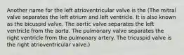 Another name for the left atrioventricular valve is the (The mitral valve separates the left atrium and left ventricle. It is also known as the bicuspid valve. The aortic valve separates the left ventricle from the aorta. The pulmonary valve separates the right ventricle from the pulmonary artery. The tricuspid valve is the right atrioventricular valve.)