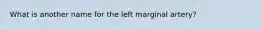 What is another name for the left marginal artery?