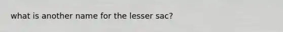 what is another name for the lesser sac?