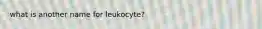 what is another name for leukocyte?