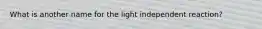 What is another name for the light independent reaction?