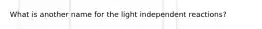 What is another name for the light independent reactions?