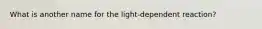 What is another name for the light-dependent reaction?