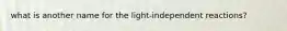 what is another name for the light-independent reactions?