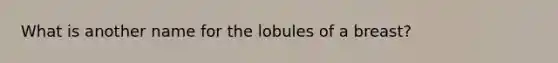 What is another name for the lobules of a breast?