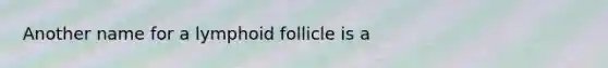 Another name for a lymphoid follicle is a