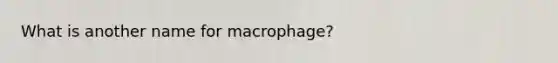 What is another name for macrophage?