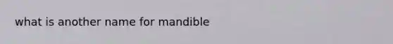 what is another name for mandible