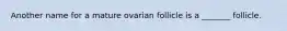 Another name for a mature ovarian follicle is a _______ follicle.