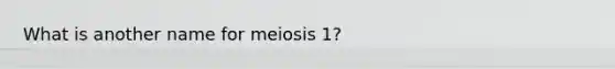 What is another name for meiosis 1?