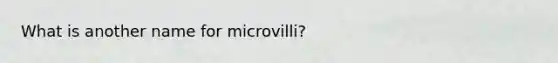 What is another name for microvilli?