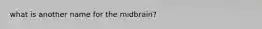 what is another name for the midbrain?