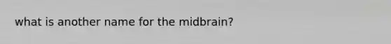 what is another name for the midbrain?