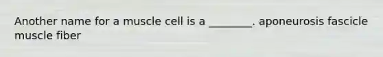 Another name for a muscle cell is a ________. aponeurosis fascicle muscle fiber