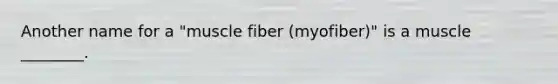 Another name for a "muscle fiber (myofiber)" is a muscle ________.