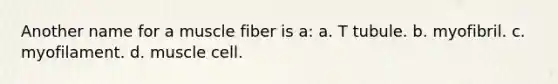 Another name for a muscle fiber is a: a. T tubule. b. myofibril. c. myofilament. d. muscle cell.