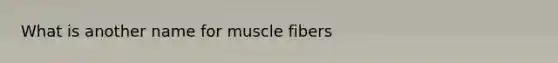 What is another name for muscle fibers