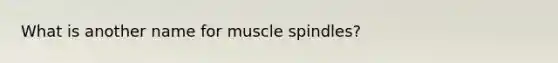 What is another name for muscle spindles?