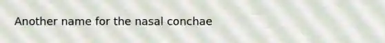 Another name for the nasal conchae