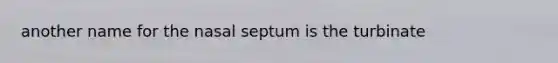 another name for the nasal septum is the turbinate