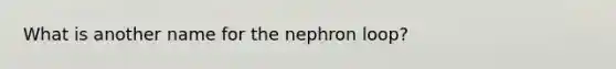 What is another name for the nephron loop?