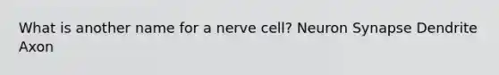 What is another name for a nerve cell? Neuron Synapse Dendrite Axon