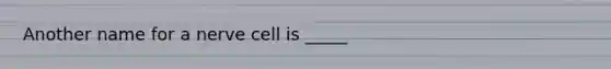 Another name for a nerve cell is _____